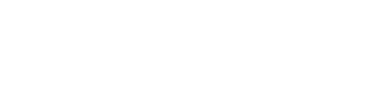 Braughler Books LLC Logo